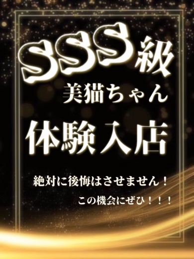 SSS級美女体験入店z